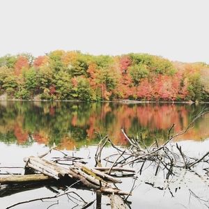 Meet your Posher, Wei